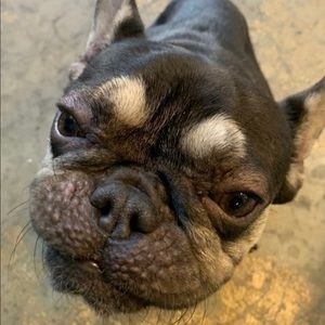 Meet your Posher, Nicholas